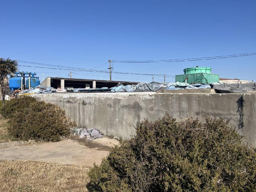 江苏省海洋水产研究所位于江苏省启东市吕四港镇二道堤水泥场地、储水池、鱼塘的公开招租(国资监测编号GR2025JS1004983)
