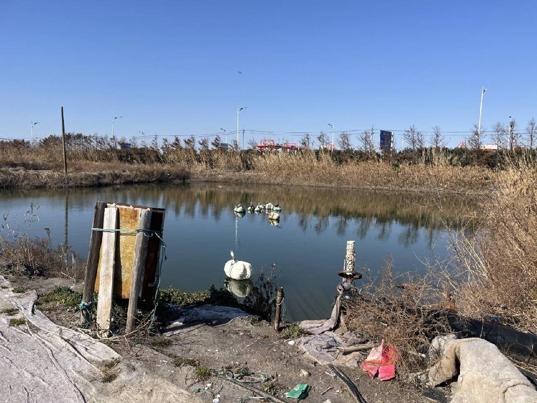 江苏省海洋水产研究所位于江苏省启东市吕四港镇二道堤水泥场地、储水池、鱼塘的公开招租(国资监测编号GR2025JS1004983)