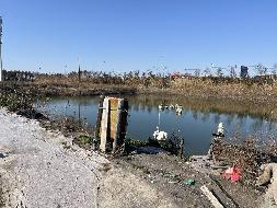 江苏省海洋水产研究所位于江苏省启东市吕四港镇二道堤水泥场地、储水池、鱼塘的公开招租(国资监测编号GR2025JS1004983)