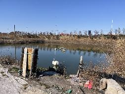 江苏省海洋水产研究所位于江苏省启东市吕四港镇二道堤水泥场地、储水池、鱼塘的公开招租(国资监测编号GR2025JS1004983)