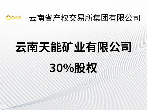 云南天能矿业有限公司30%股权