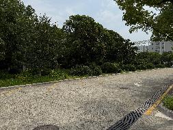 常州市武进区滆湖中路33号常州工程职业技术学院行政楼北侧新能源汽车充电桩场地点位招租公告(国资监测编号GR2025JS2005112)