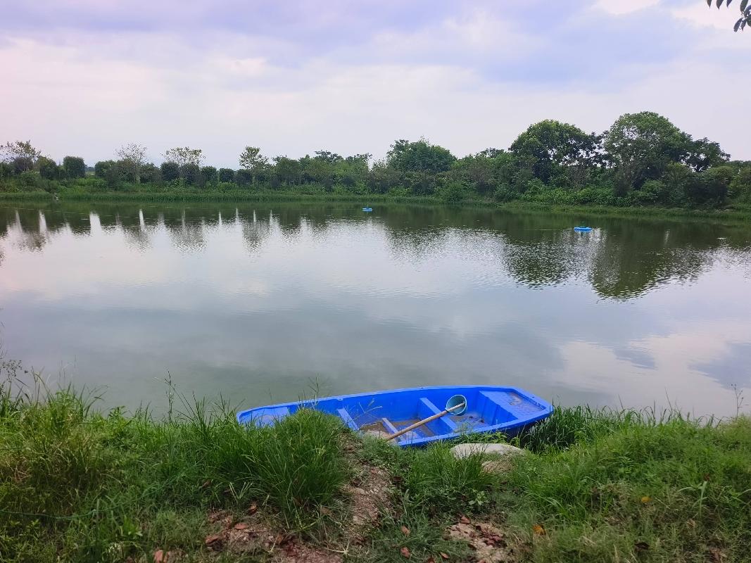 衢江区云溪乡希望新村1号水塘公开挂牌招租(二次挂牌)
