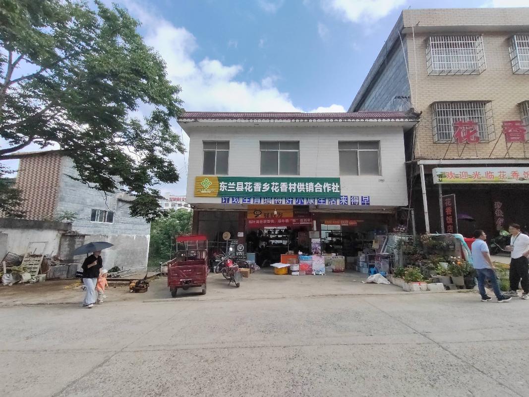 河池市东兰县花香乡花香村旧村委约210平方米办公楼招租项目