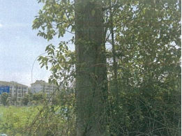 邵舍路西地块高压线路迁改工程（10kv常高133线-迁武2025031801）拆旧物资转让公告