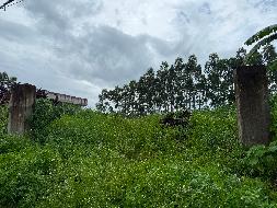 贵港市覃塘区东龙镇农昌村约1.37亩土地经营权流转项目