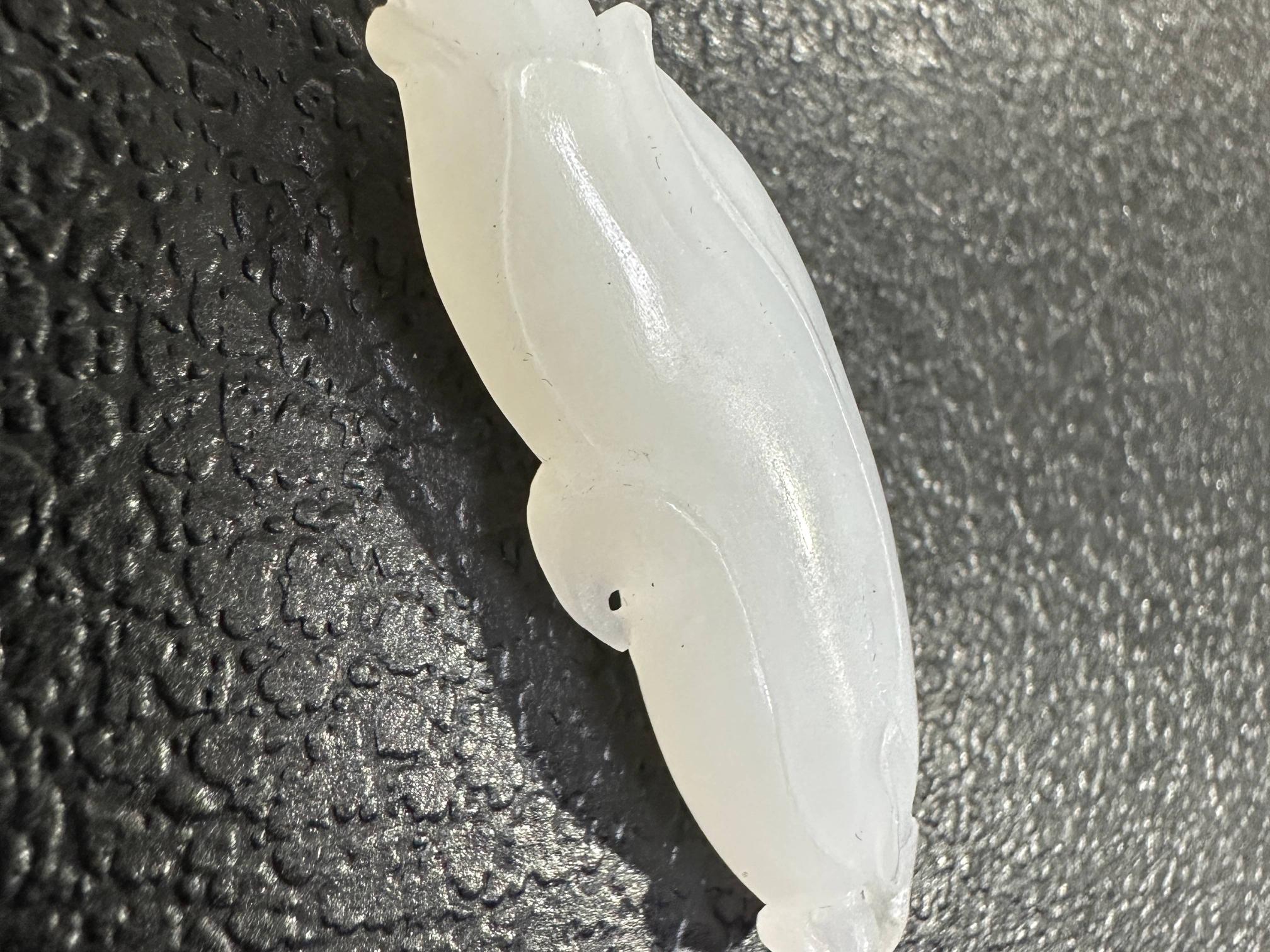 青海料佛手转让公告