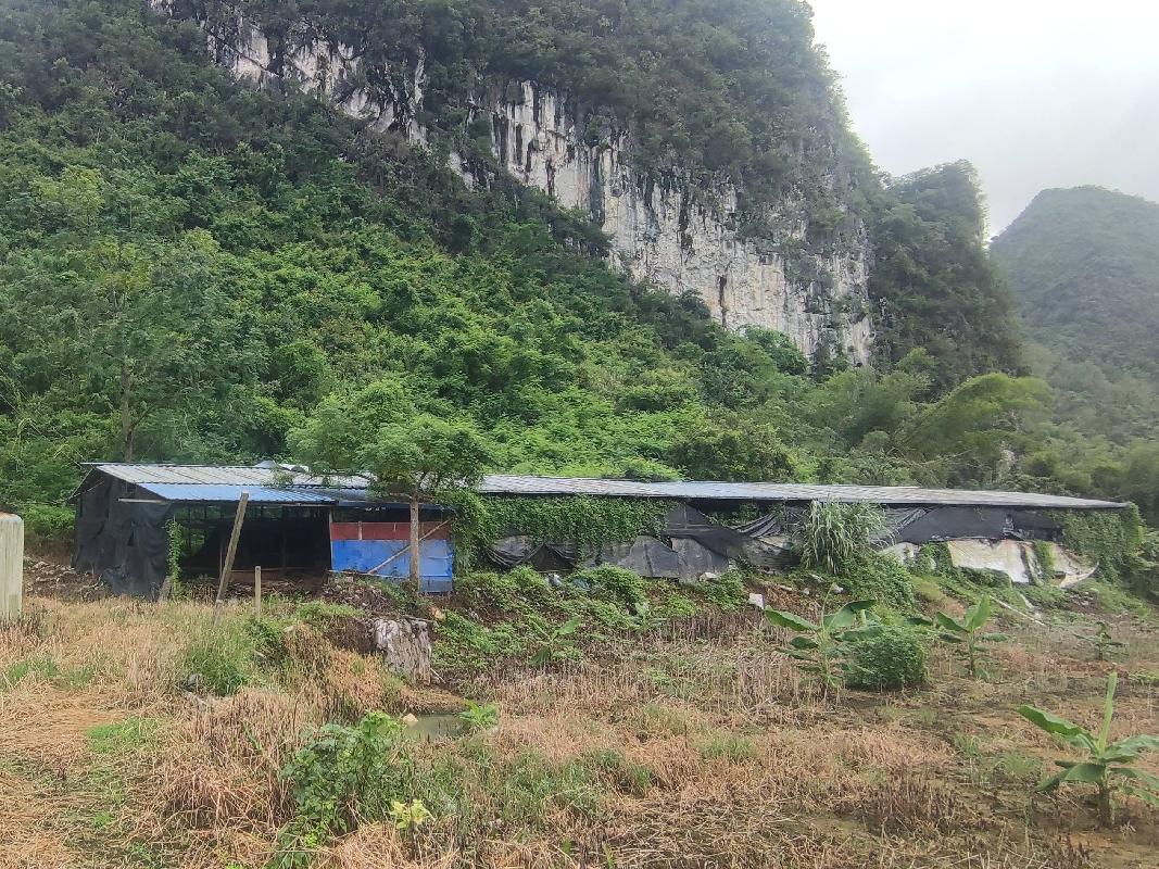 河池市大化瑶族自治县大化镇达悟村七百弄鸡养殖场地上附着物转让项目