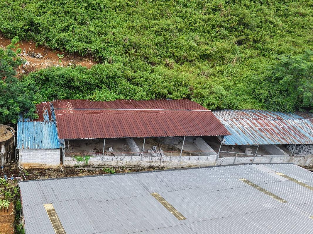 河池市大化瑶族自治县大化镇大调村的2号羊养殖场地上附着物转让项目