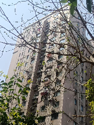 新疆吐哈石油勘探开发有限公司转让位于上海宝山路450弄10号2004室房地产(国资监测编号GR2025XJ1000910)