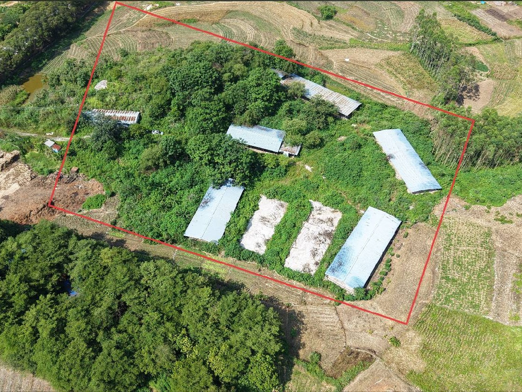 河池市大化瑶族自治县大化镇荣华社区养鸡场地上附着物转让项目