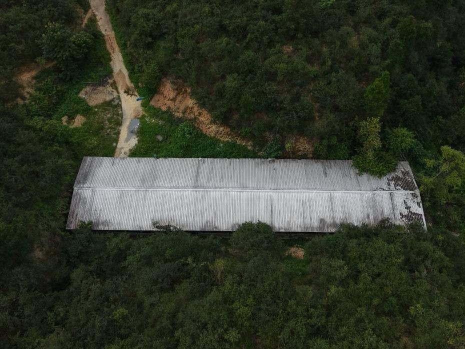 河池市凤山县平乐瑶族乡寅亭村烂田湾林下养殖小区约5000平方米鸡舍招租项目