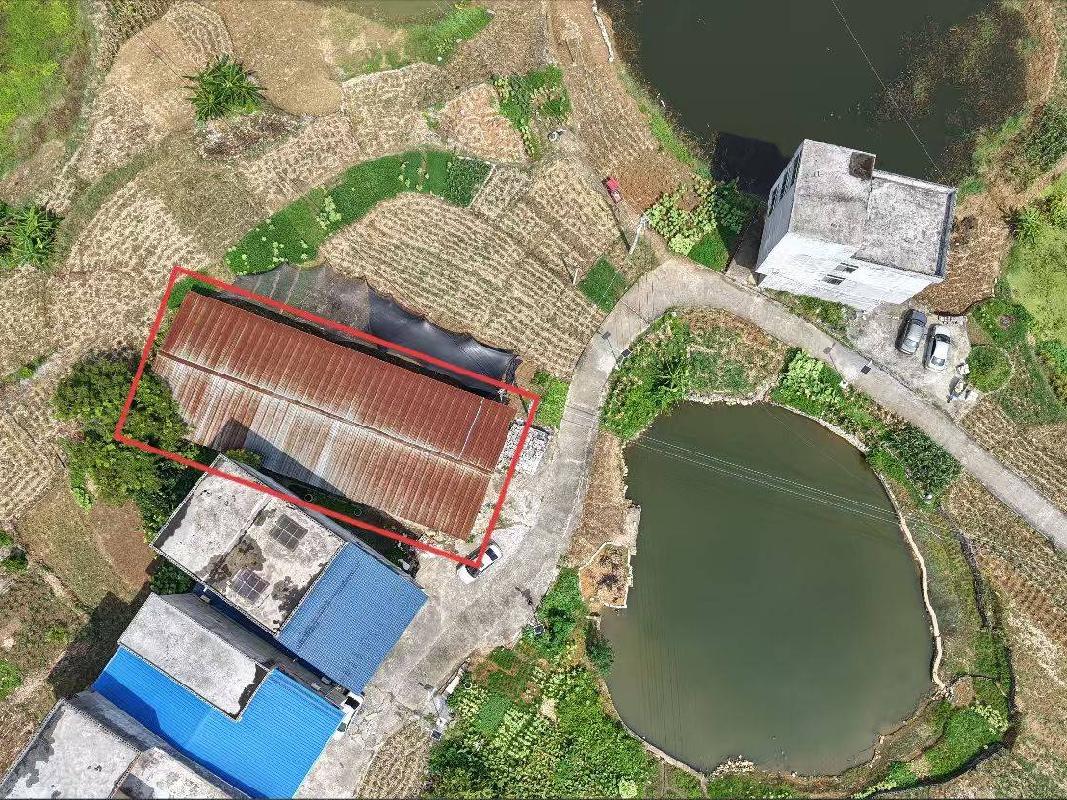 河池市大化瑶族自治县大化镇坡了社区养蛇场地上附着物转让项目