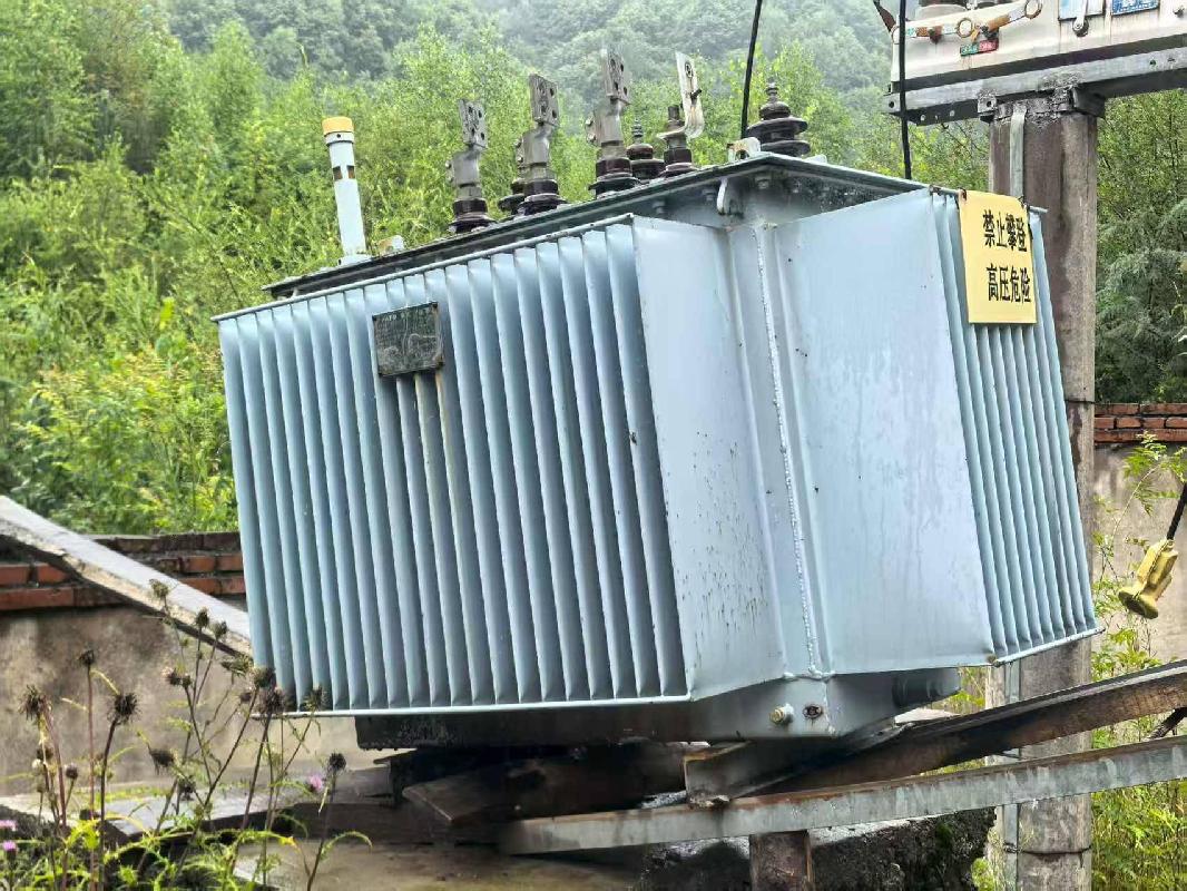临夏州康乐县紫沟峡水电站房屋建（构）筑物拆除及机电设备、金属结构转让公告