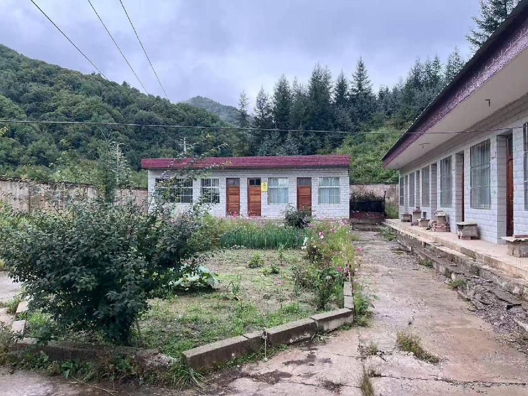 临夏州康乐县紫沟峡水电站房屋建（构）筑物拆除及机电设备、金属结构转让公告