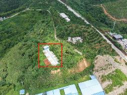 河池市大化瑶族自治县大化镇坡了社区养鸡场地上附着物转让项目