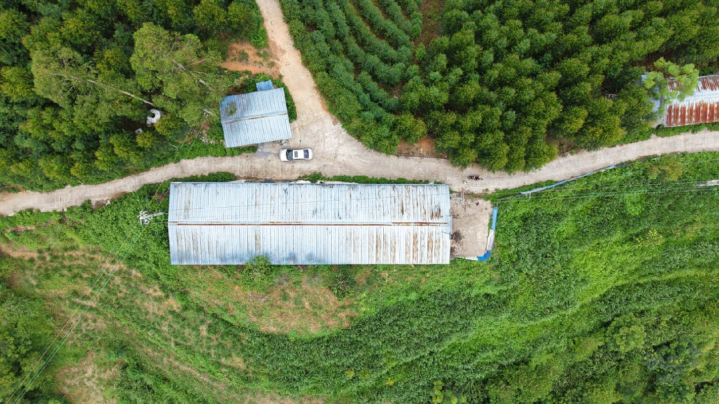 河池市大化瑶族自治县大化镇龙马村2号七百弄鸡养殖场地上附着物转让项目