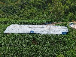 河池市大化瑶族自治县大化镇龙马村1号七百弄鸡养殖场地上附着物转让项目