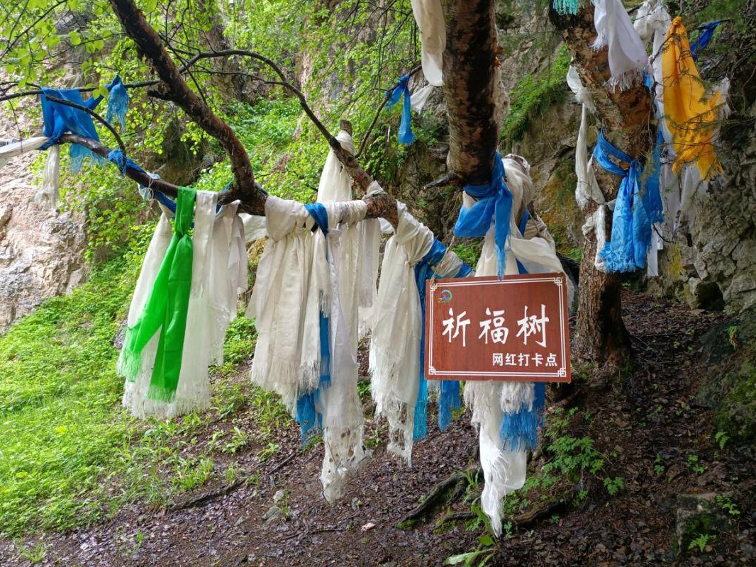 昭苏县旅游服务中心有限责任公司位于昭苏县水帘洞景区资产对外转让