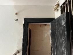 泰兴市鼓楼春区14幢401室公开招租(国资监测编号GR2025JS1005580)