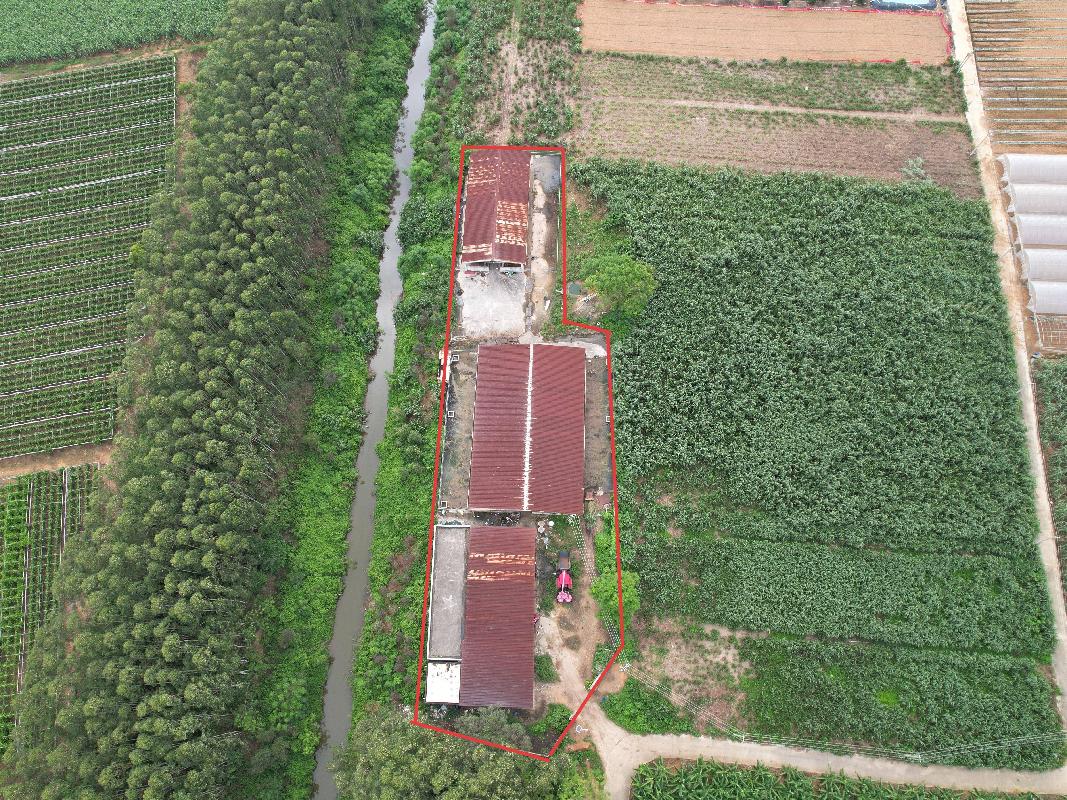 北海市铁山港区南康镇黄丽窝村约2500平方米肉牛养殖场招租项目