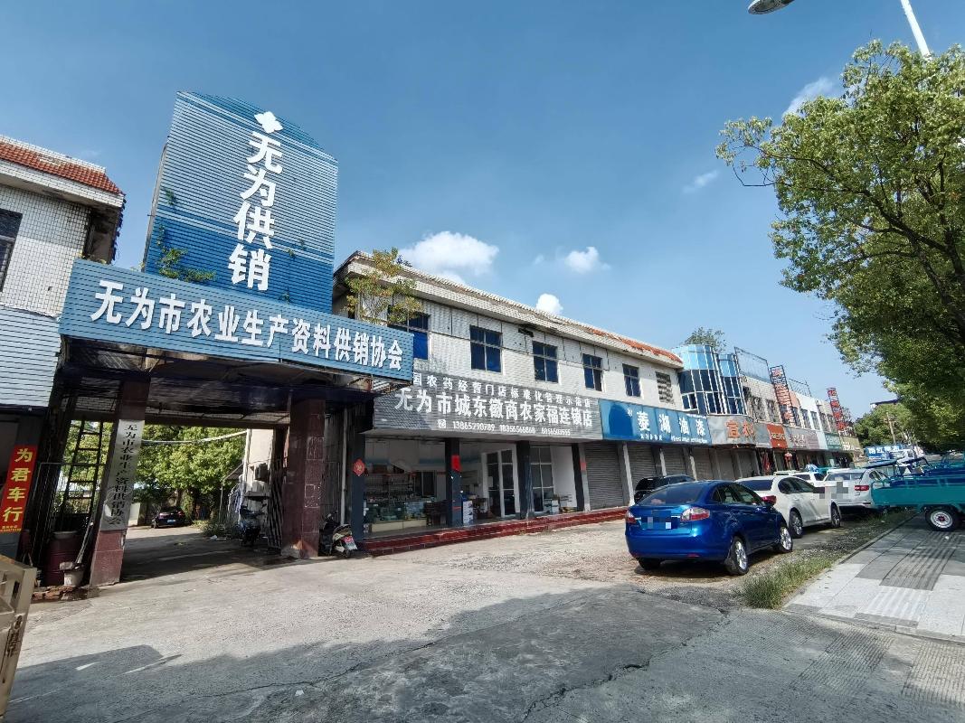 无为市无城镇旭东路104号东侧东6间门面房及仓库出租公告(国资监测编号GR2025AH2002124)