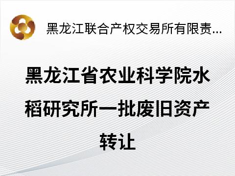 黑龙江省农业科学院水稻研究所一批废旧资产转让(国资监测编号GR2025HL2004325)