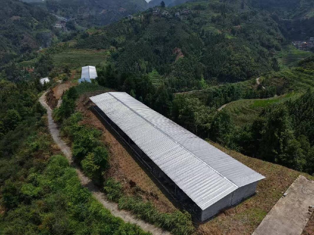 [河池市]河池市凤山县长洲镇那爱村阳区屯林下养殖小区约1500平方米鸡舍招租项目