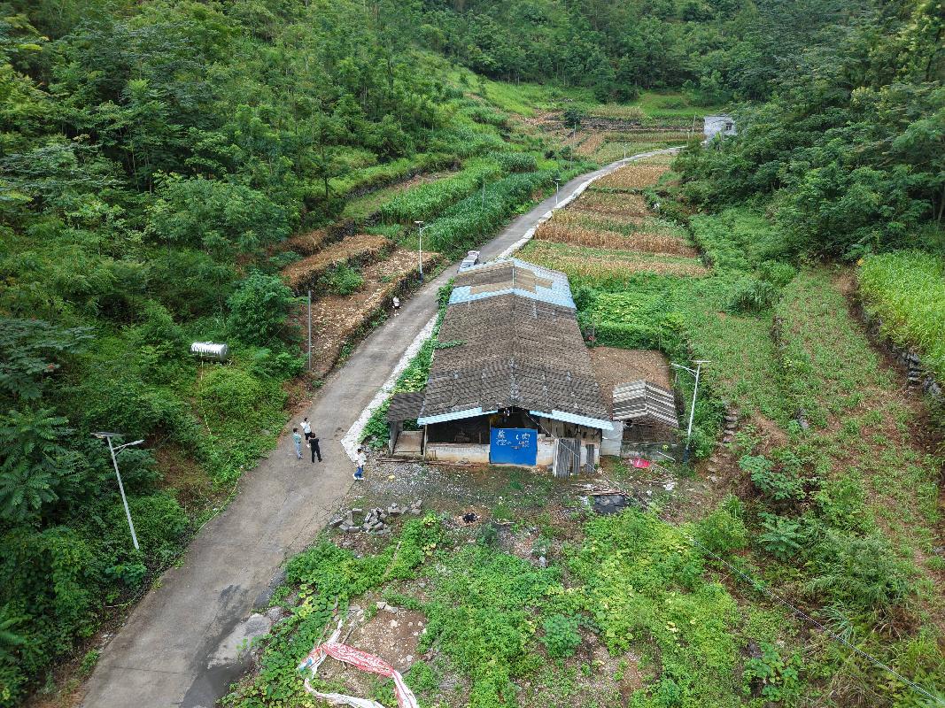 河池市都安瑶族自治县保安乡隆仲村约600平方米养殖场招租项目