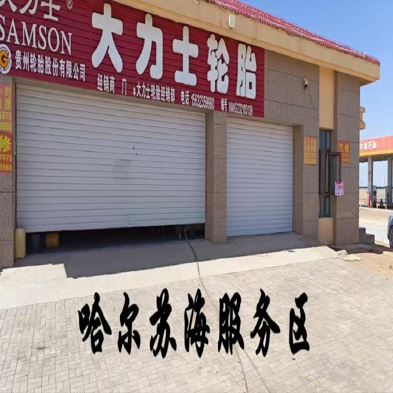 额济纳旗、哈尔苏海、黑鹰山服务区汽修项目出租(国资监测编号GR2025NM1006111)