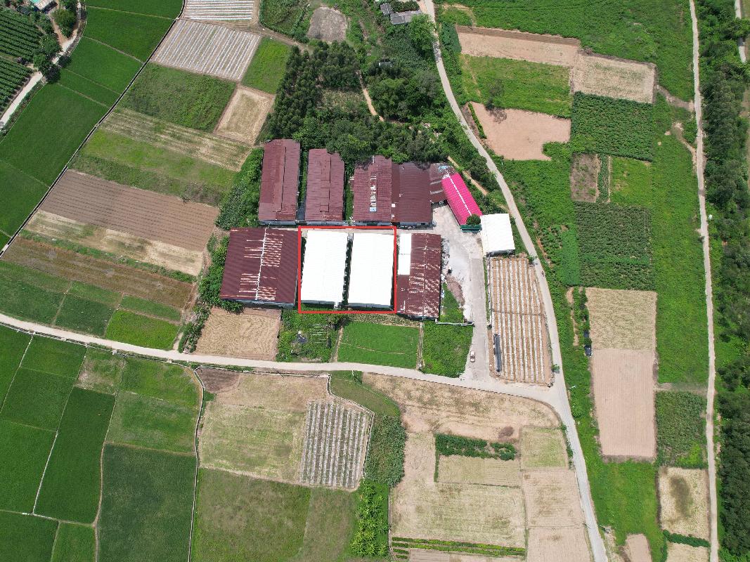 北海市海城区高德街道赤西村委约760平方米食用菌大棚招租项目