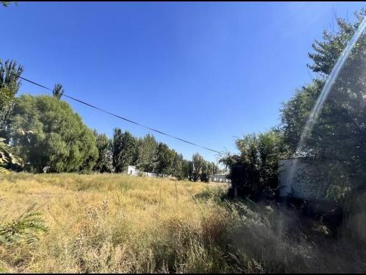 [伊犁哈萨克自治州]伊宁市城运集团公司位于伊宁市奶牛场伊察313线邮电所西侧院落整体约8256.56㎡对外招租