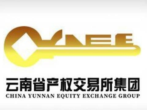 昭通机场2025年候机楼部分商业资源招商(三次挂牌)