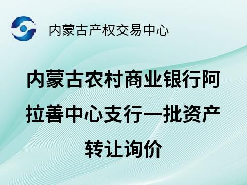 内蒙古农村商业银行阿拉善中心支行一批资产转让询价