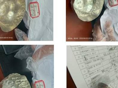 一批存货及设备资产(国资监测编号GR2025HN1001826)