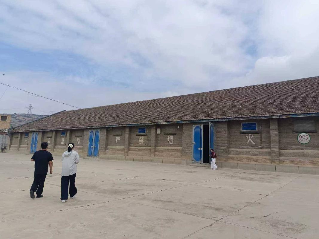 甘谷县丰民储备粮油有限公司朱圉库区2S2号库租赁公告