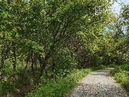 笔架山农场1批林木采伐及残余价值捆绑转让交易公告(国资监测编号GR2025HL2004448)
