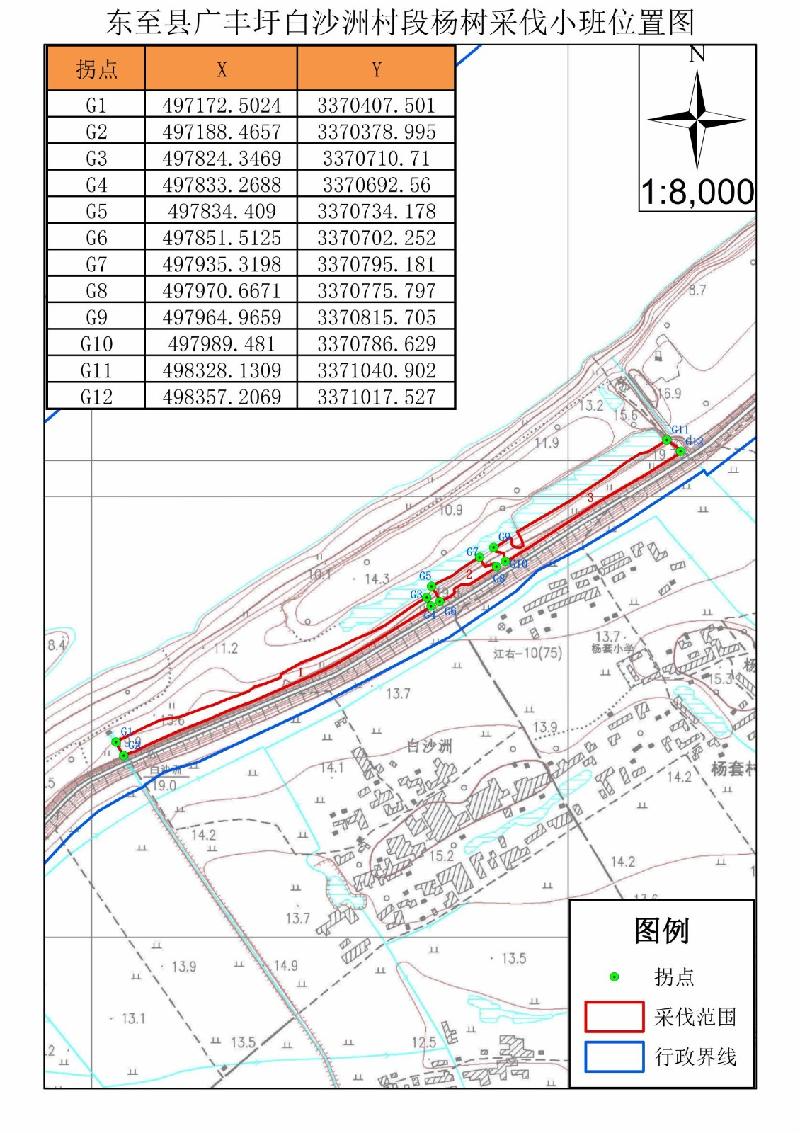 东至县大渡口镇广丰圩白沙洲、杨套村共三个小班林木转让公告