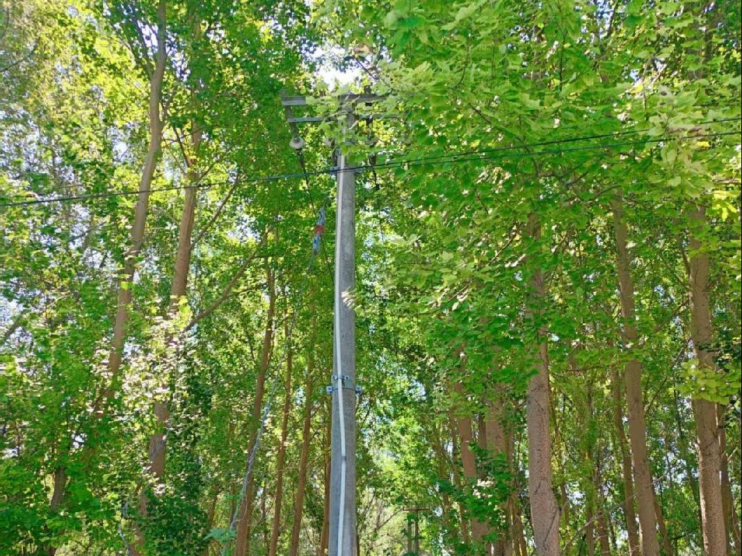 红旗泡水库国家水利风景区内部分树木采伐及残值捆绑转让交易公告