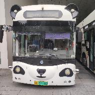 （苏D02988D）申龙牌SLK6123UBEVN1大型普通客车(三次挂牌)转让公告(国资监测编号GR2025JS2005836-3)