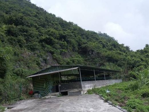 河池市巴马瑶族自治县燕洞镇赖满村约1333平方米养兔场招租项目