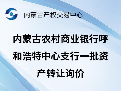 内蒙古农村商业银行呼和浩特中心支行一批资产转让询价