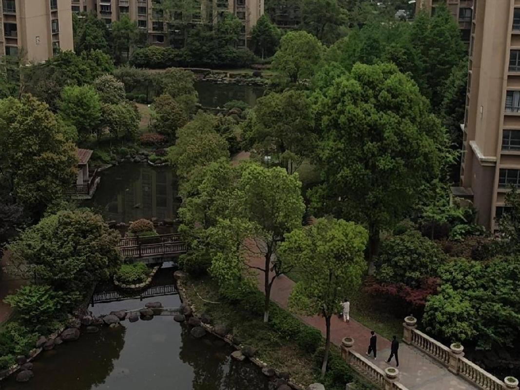 长沙市暮云镇芙蓉南路四段977号和美星城D区45栋1506及D-1061车位(二次挂牌)(国资监测编号GR2025HN1001923-2)