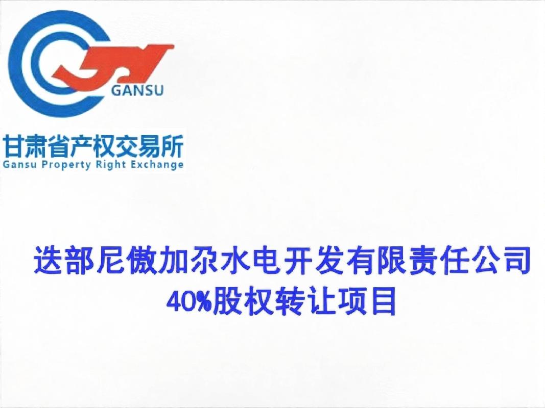 迭部尼傲加尕水电开发有限责任公司40%股权转让公告