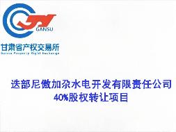 迭部尼傲加尕水电开发有限责任公司40%股权转让公告(国资监测编号G32026GS1000007)