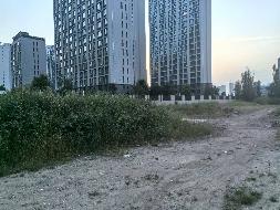 赤峰市松山区鲁王路东、胜安路西、古都河街南、如意巷北的GTD-05-03地块约14.4亩土地使用权出租（租金底价174774.00元/年，租期2年）(国资监测编号GR2025NM1006522-2)