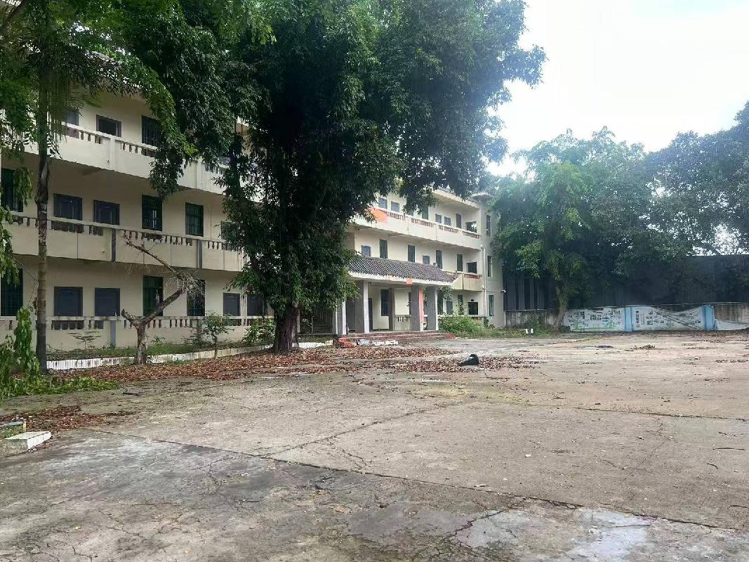 三亚市吉阳区师部农场路水泥厂生活区创业孵化基地办公楼（共3层）整体再次招租