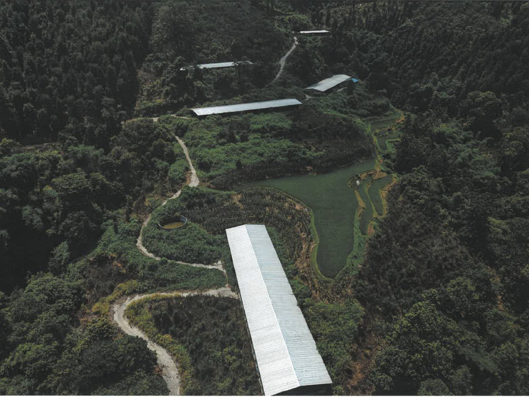 河池市凤山县长洲镇那爱村那下屯林下养殖小区约3500平方米鸡舍