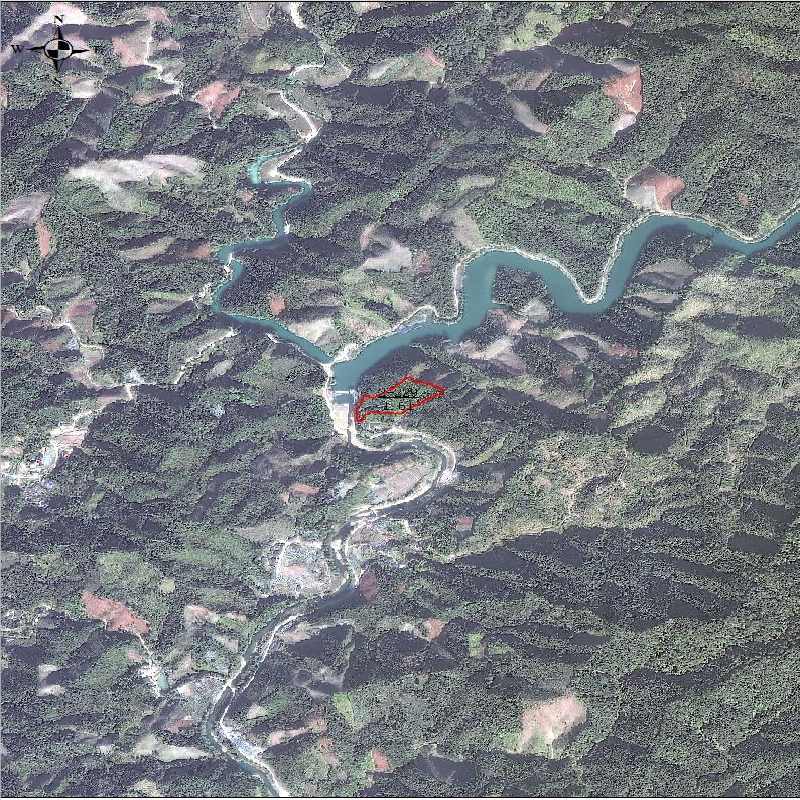 柳州市融安县西山林场泗门山林站约135.75亩八角林