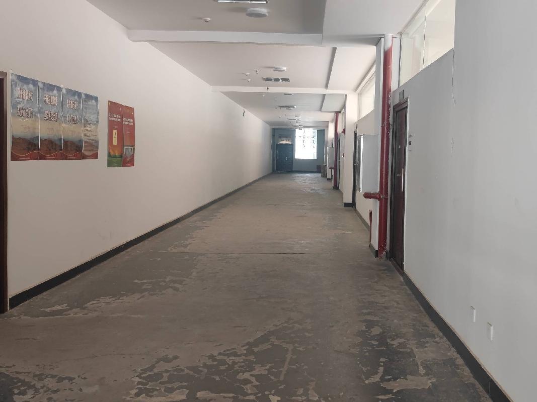 楚雄市开发区永安路南侧新华书店综合楼一至五层房屋  租赁(国资监测编号GR2025YN1000847)